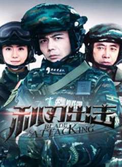 免费在线观看完整版国产剧《利刃出击[DVD版]》