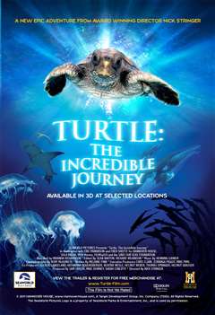 免费在线观看《海龟神奇之旅》