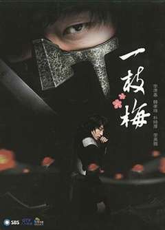 免费在线观看完整版日韩剧《一枝梅》