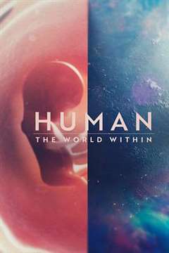 免费在线观看《人类：体内的世界》