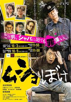 免费在线观看完整版日韩剧《出狱脱节》