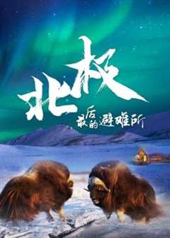 免费在线观看《北极最后的避难所中文版》