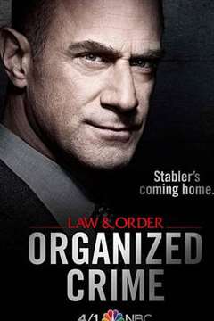 免费在线观看完整版欧美剧《法律与秩序：组织犯罪第一季》