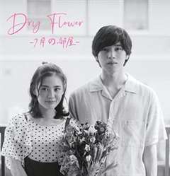 免费在线观看完整版日韩剧《DryFlower七月的房间》
