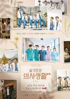 免费在线观看完整版日韩剧《机智的医生生活第二季》