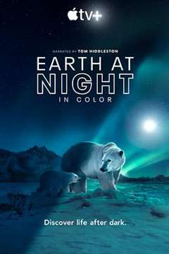 免费在线观看《夜色中的地球 第二季》