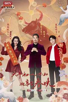 免费在线观看《2021年北京卫视春节联欢晚会》