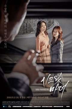 免费在线观看完整版日韩剧《Secret Mother》
