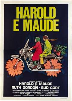 免费在线观看《哈洛与慕德 Harold and Maude》