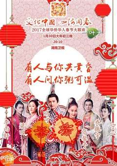 免费在线观看《2017全球华侨华人春节大联欢》