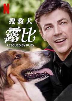 免费在线观看《义犬救主》