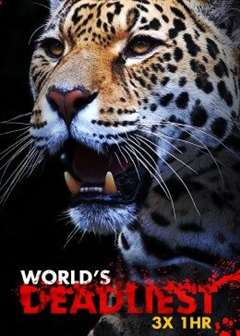 免费在线观看《最致命的动物》
