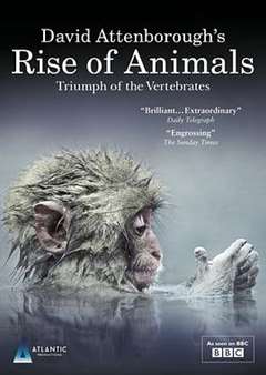 免费在线观看《动物的崛起：脊椎动物的胜利》