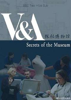 免费在线观看《博物馆的秘密第一季》
