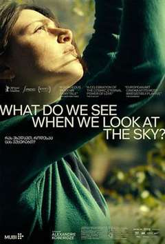 免费在线观看《当我们仰望天空时看见什么？》