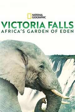 免费在线观看《维多利亚瀑布：非洲的伊甸园》