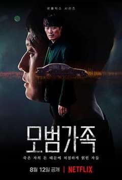 免费在线观看完整版日韩剧《模范家族》