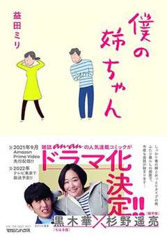 免费在线观看完整版日韩剧《我的姐姐》