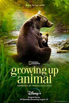 免费在线观看《动物成长》