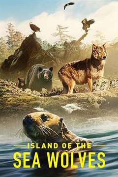 免费在线观看《海狼之岛》