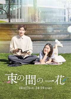 免费在线观看完整版日韩剧《一霎一花》