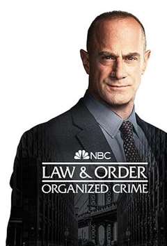 免费在线观看完整版欧美剧《法律与秩序：组织犯罪第三季》