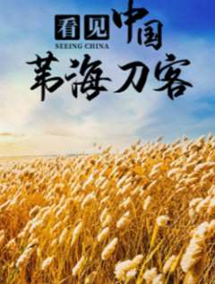免费在线观看《看见中国：苇海刀客》
