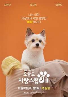免费在线观看完整版日韩剧《今天也很可爱的狗》