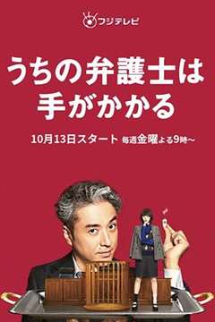免费在线观看完整版日韩剧《我家的律师很麻烦》