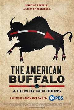 免费在线观看《美国水牛》