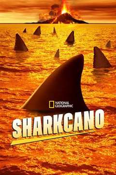 免费在线观看《鲨鱼火山》