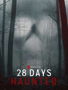 免费在线观看《闹鬼实境28天》