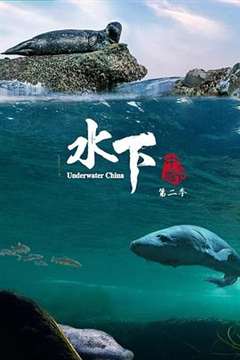 免费在线观看《水下中国 第二季》