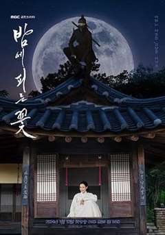 免费在线观看完整版日韩剧《夜晚开的花》