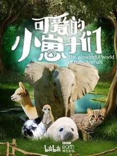 免费在线观看《可爱的小崽子们 中文版》