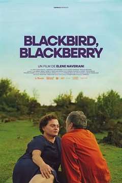 免费在线观看《黑鸟黑鸟黑莓》