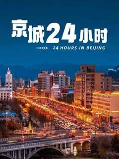 免费在线观看《京城24小时》