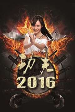 免费在线观看《功夫2016》