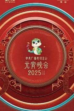 免费在线观看《中央广播电视总台2025年元宵晚会》