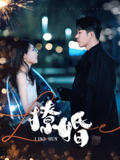免费在线观看完整版短剧《撩婚》