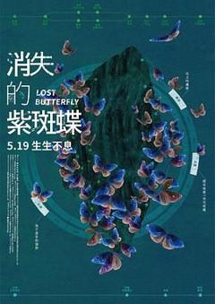 免费在线观看《消失的紫斑蝶》