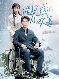 免费在线观看完整版短剧《遇见我的小欢喜》
