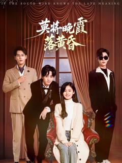 免费在线观看完整版短剧《莫将晚霞落黄昏》