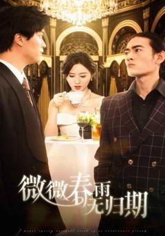 免费在线观看完整版短剧《微微春雨无归期》