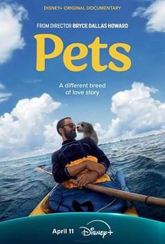 免费在线观看《宠 Pets》