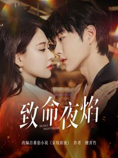 免费在线观看完整版短剧《致命夜焰》
