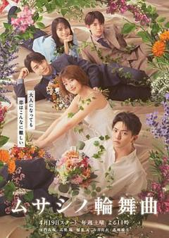 免费在线观看完整版日韩剧《武藏家的圆舞曲》