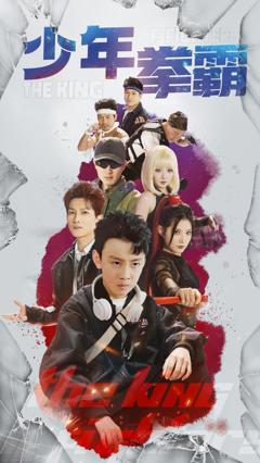 免费在线观看完整版短剧《少年拳霸》