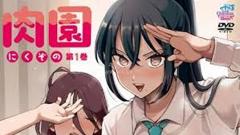 免费在线观看《肉园》