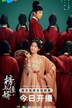 免费在线观看完整版国产剧《榜上佳婿》